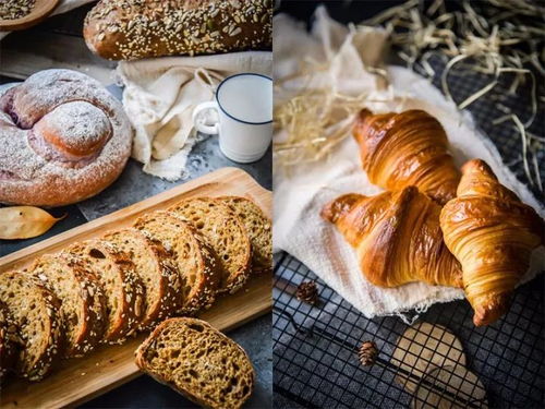 有空做頭發,不如做烘焙,政府全額補貼